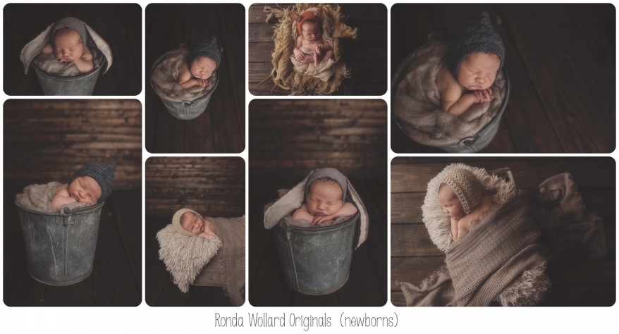 deland newborn photographer